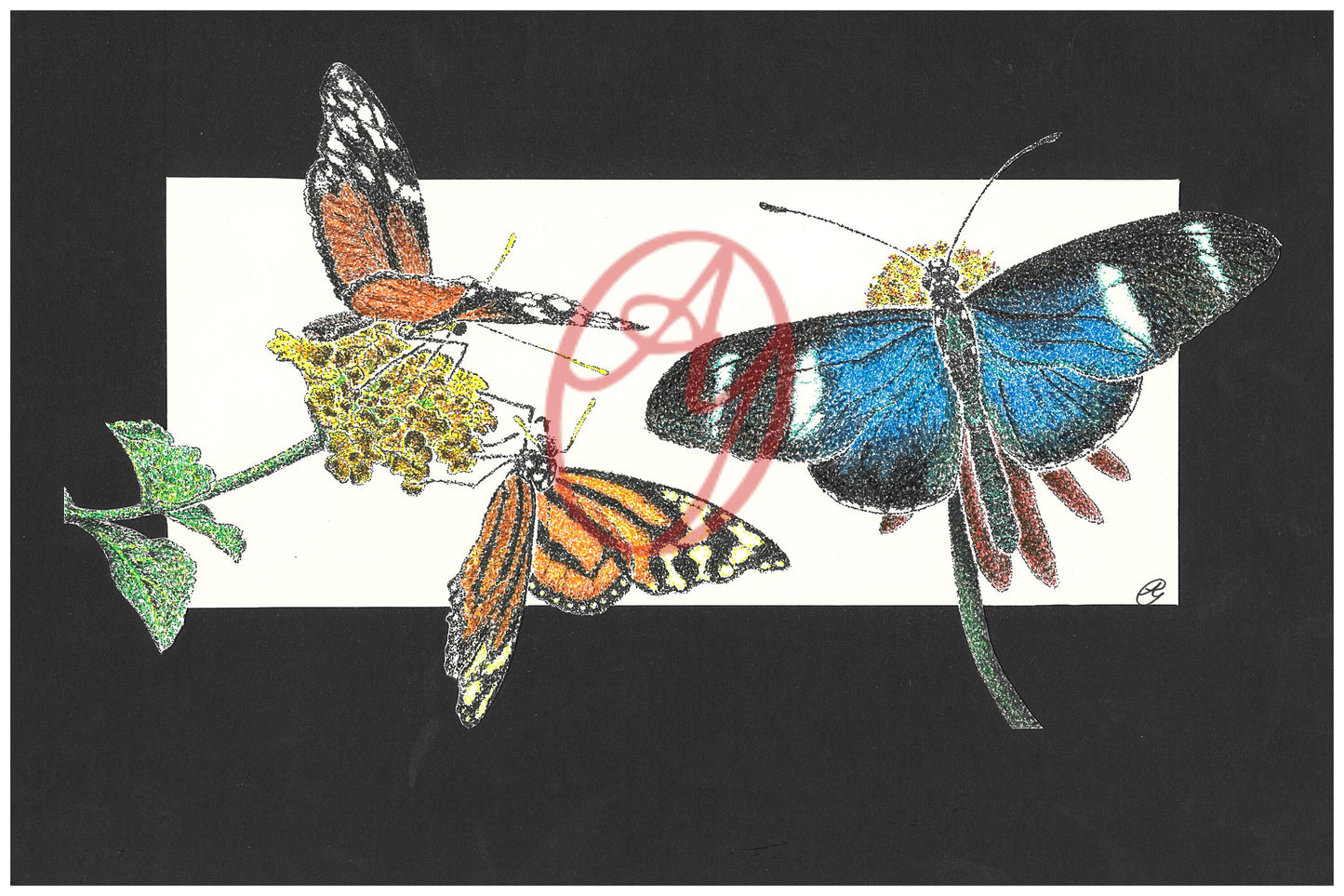 Butterflies (1/1 AY ORIGINAL)