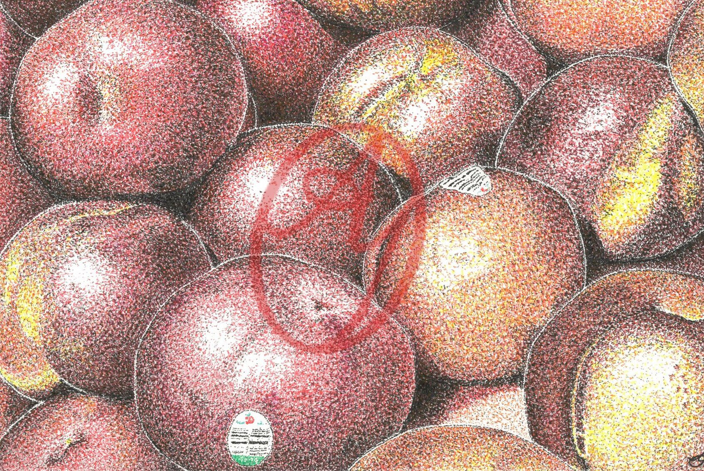 Nectarines PRINT