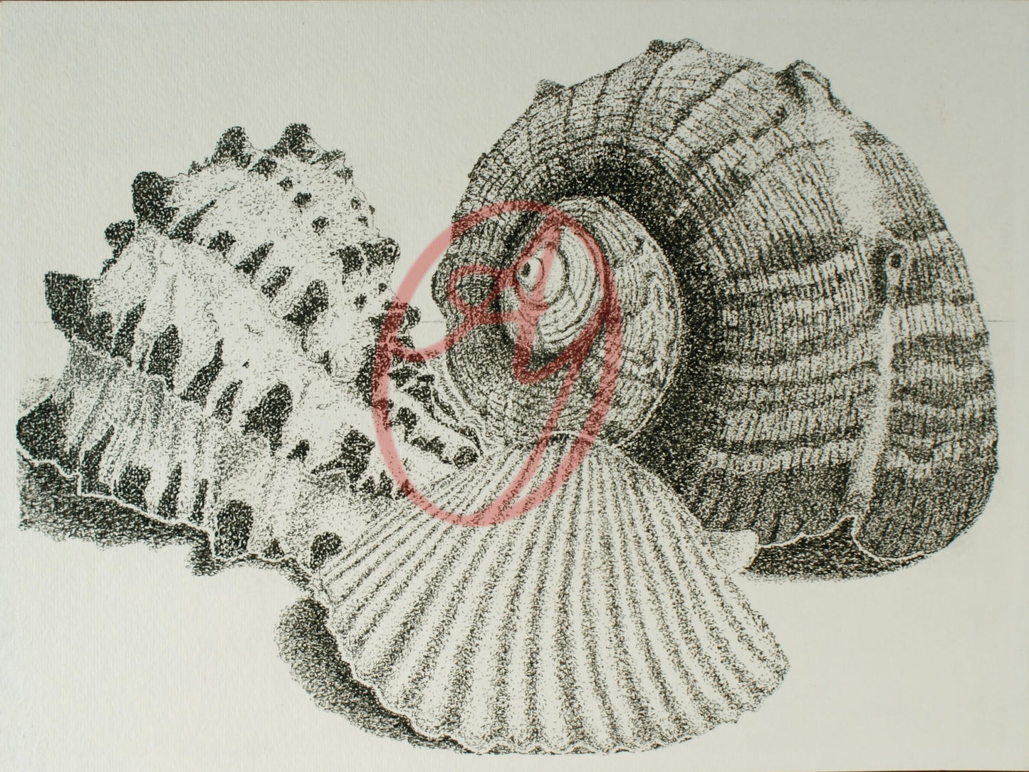 Seashells (1/1 AY ORIGINAL)