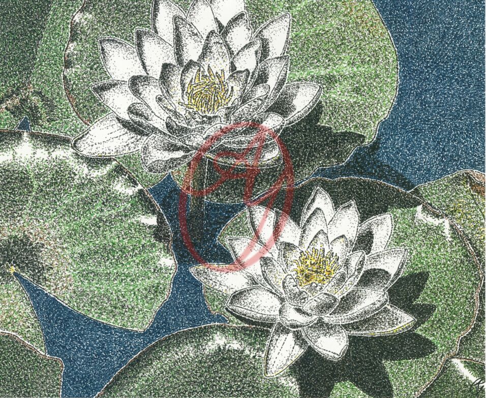 Waterlilies (AY ORIGINAL)